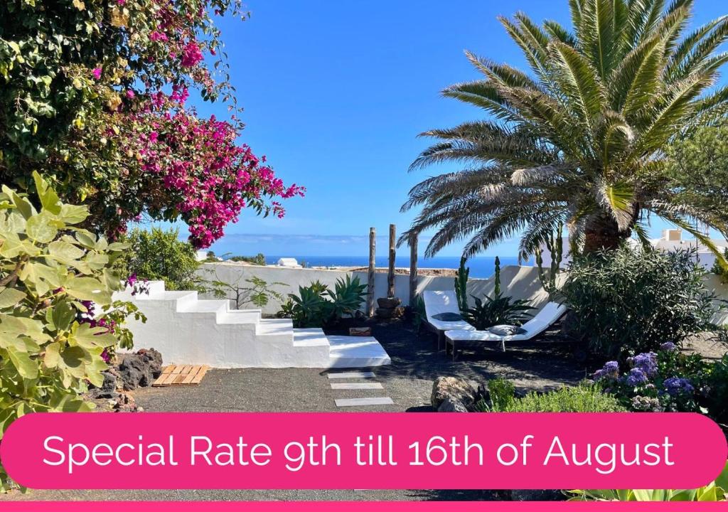 a view of a beach with a palm tree at Full Relaxation - Private Villa - Sea View - Stunning Garden - 2 Terraces - 2 Bedrooms - Wifi - Parking - Washing Machine in Güime