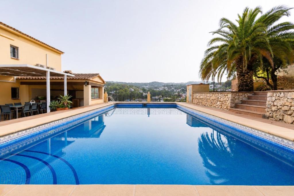 a swimming pool with a palm tree and a house at Villa Paula in Benissa