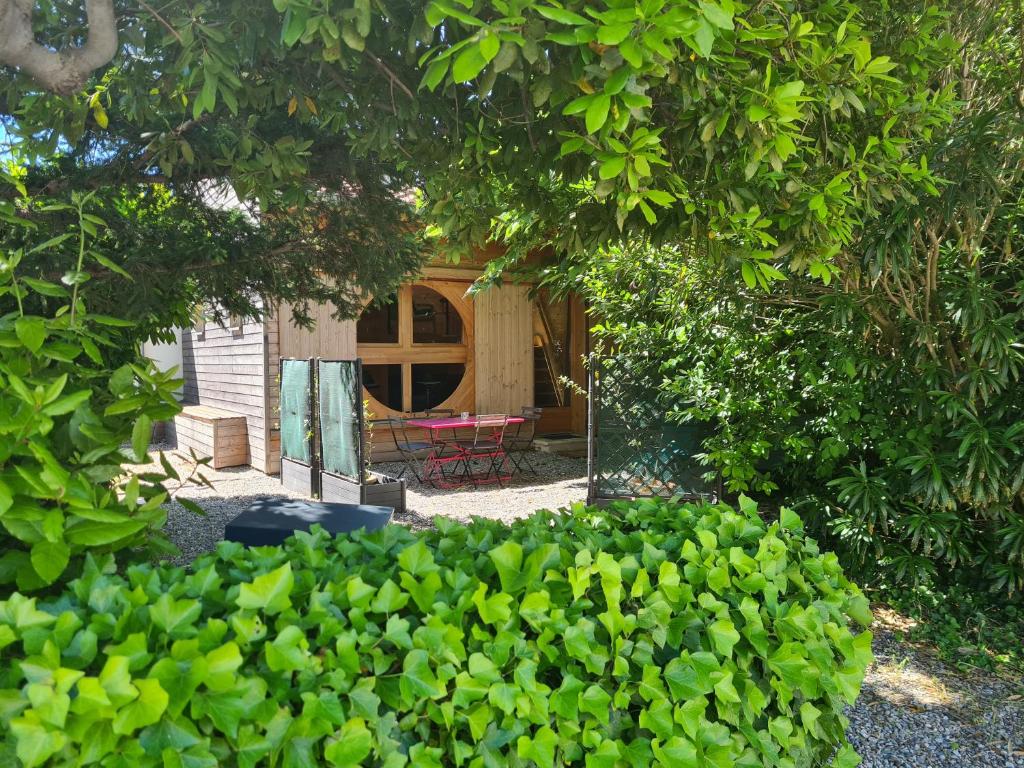 a view of a house through the trees at Tiny Isle in L'Isle-sur-la-Sorgue