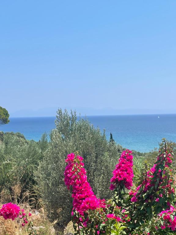a group of pink flowers with the ocean in the background at Olive & Sea Villa Koroni in Koroni