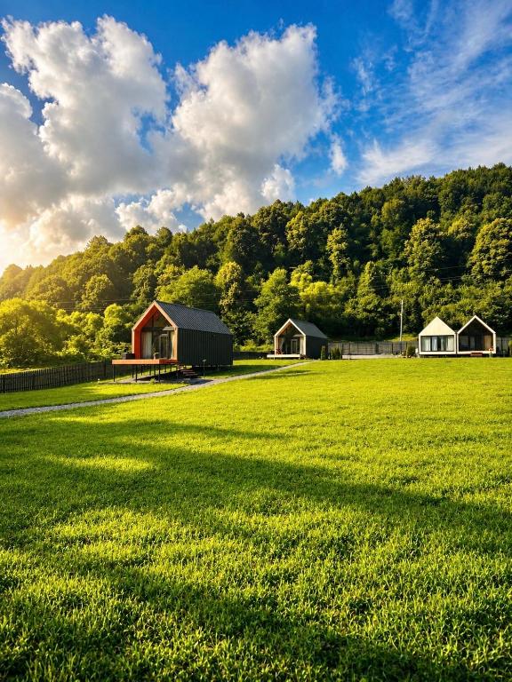 a large field of grass with a barn and trees at Carpathian Barns in Abranka