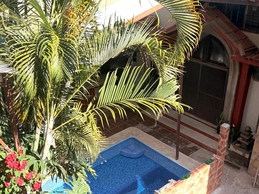 a palm tree and a swimming pool in front of a house at Posada Temazcal Santo Domingo in Tepoztlán