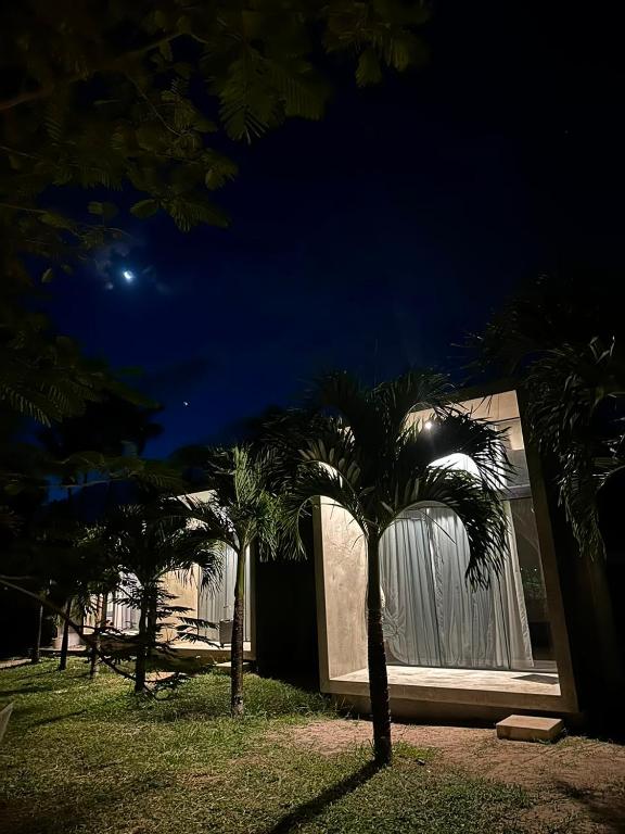 a palm tree in front of a building at night at Casa Super Paradise in Rio Tinto