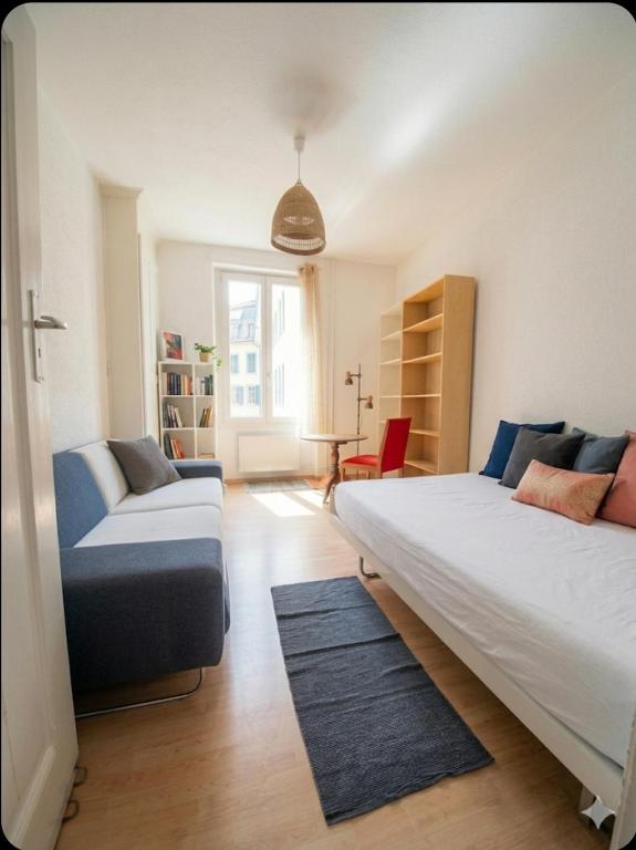 a living room with a bed and a couch at Bern room near Main Station in Bern