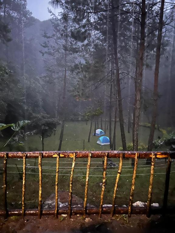 a park bench in the rain with a tent at Aldea Axocobaca in Zoquitlán