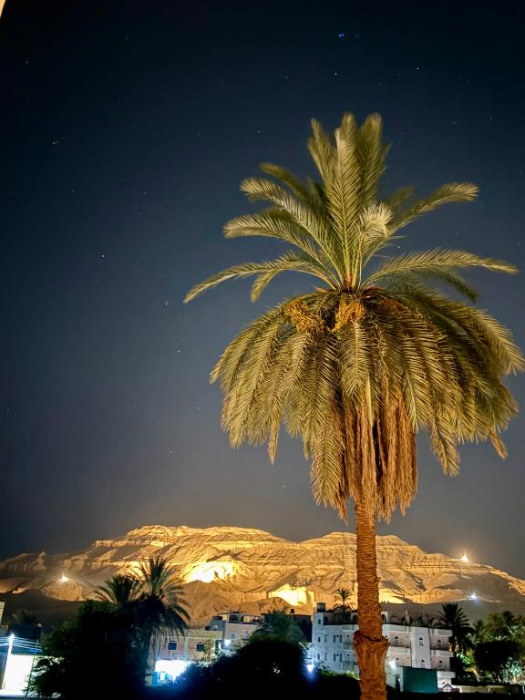 a palm tree at night in front of a mountain at Al-Sultan Hotel in Al Aqālitah