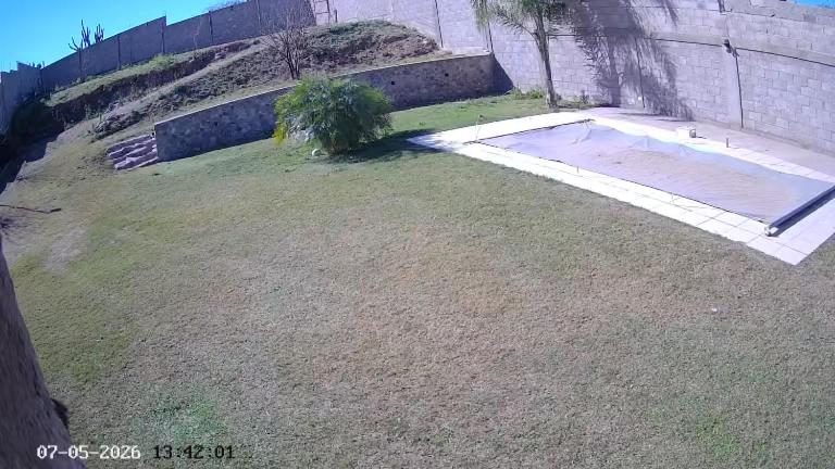 a yard with a small plant in the middle of it at Quincho Ruben in La Rioja