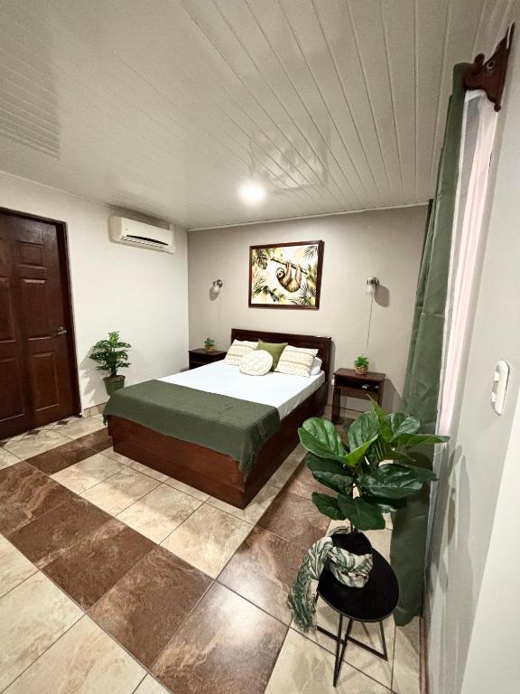 a bedroom with a bed and a plant in it at Apartamento Aura 10 in El Coco
