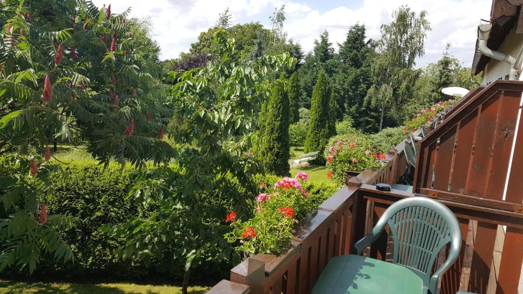 Zahrada ubytování Jägerheim Löbsal