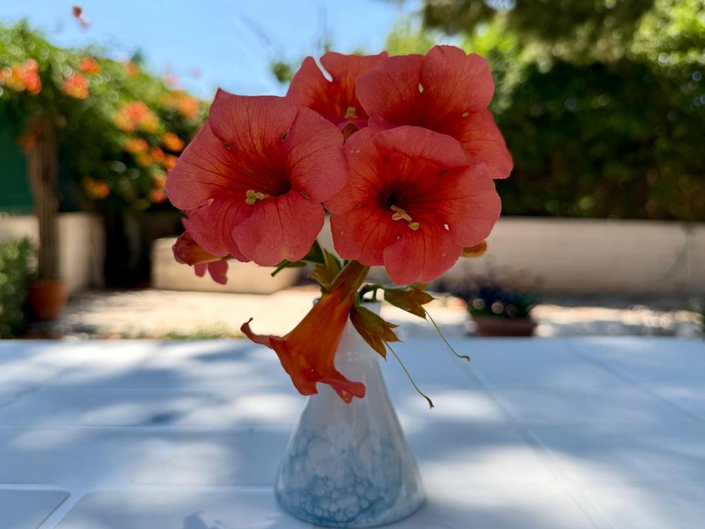 a vase filled with red flowers on a table at Marina in Aghia Marina
