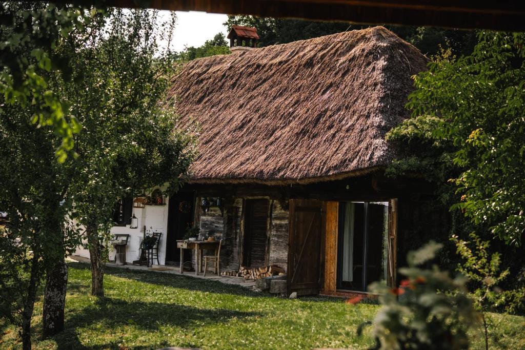 an old house with a thatch roof on a yard at Fairytale cottage Francka in Gorica pri Slivnici