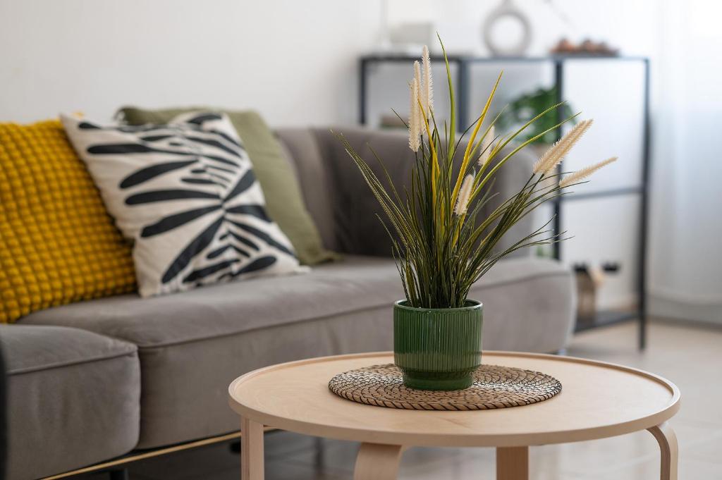 a table with a potted plant on it in a living room at הדירה של אייזיק - דירה מהממת במצפה רמון עם נוף מדהים in Mitzpe Ramon