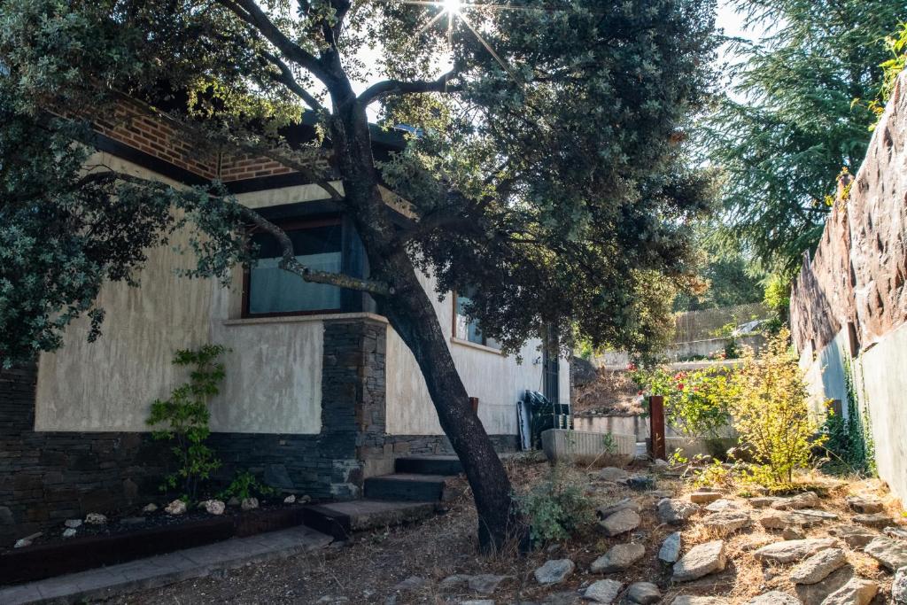 a tree in front of a house with stairs at VUT Carrascosos, oasis familiar by Cabana Rentals in El Espinar