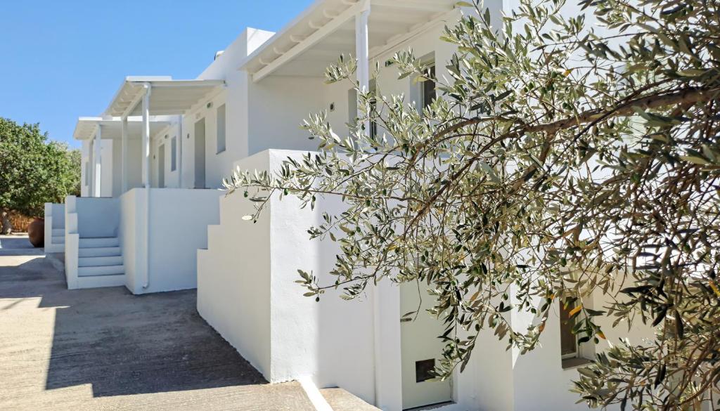 a white house with a tree in front of it at Firogia Olive Grove Hideaway in Sifnos