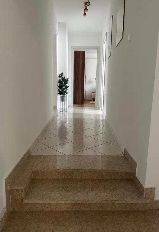 a hallway with stairs with a potted plant on it at Apartman Batelan in Brseč