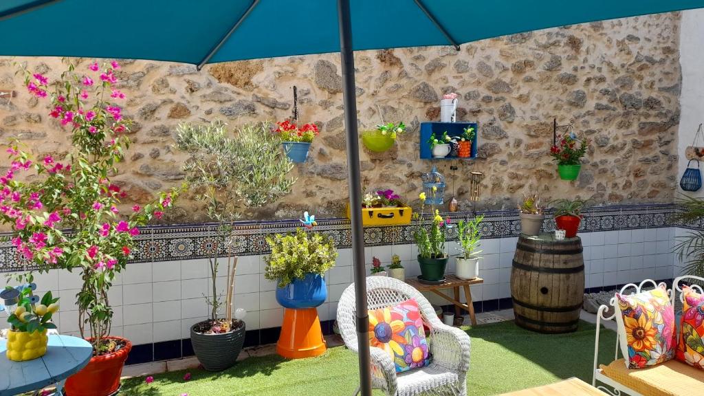 a patio with potted plants and a blue umbrella at les hirondelles de Barrou in Saint-Jean-de-Barrou