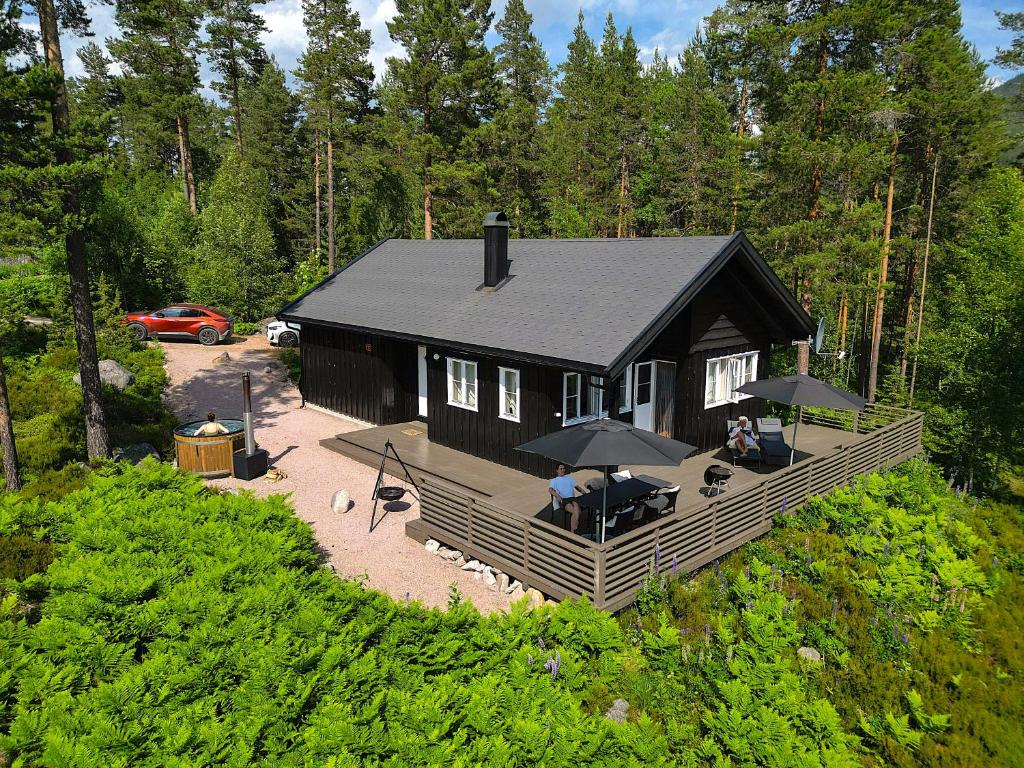 an aerial view of a cabin in the woods at Chalet Vradal in Vradal