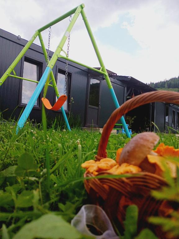 a basket sitting in the grass next to a swing at Căsuțele De Sub Codru in Colacu