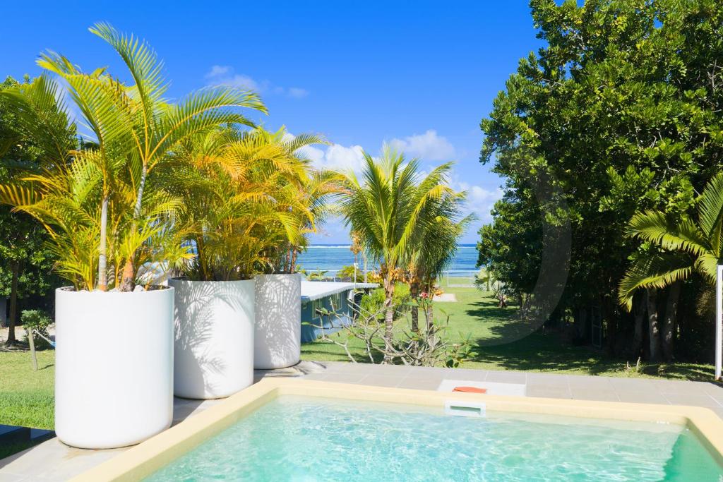 a swimming pool with palm trees and the ocean at Villa Antema in Riambel