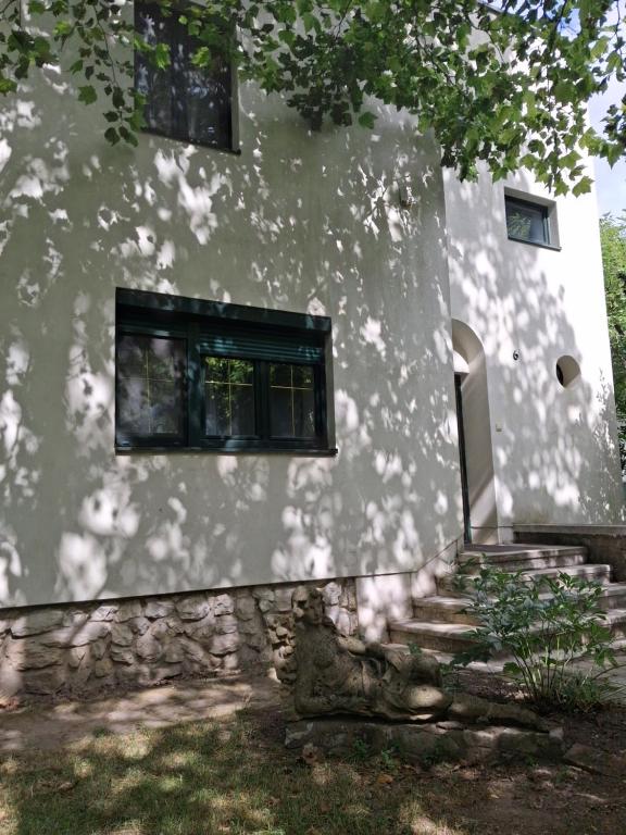 a white building with a window and a tree at Hangvilla Vendégház in Miskolc