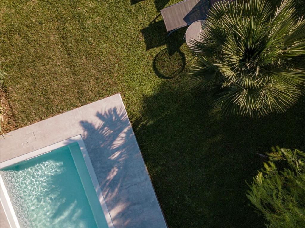 an overhead view of a pool with a palm tree at Samiro Private Villa - Heated Pool & Hot tub in Áyios Míron