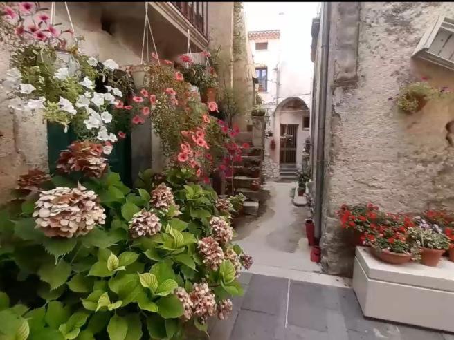 an alley with flowers and plants on the side of a building at A casa di Nonna Peppina a Caggiano in Caggiano