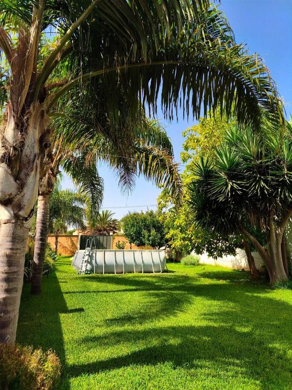 a group of palm trees in a field of grass at Villa Angela in Marinella di Selinunte