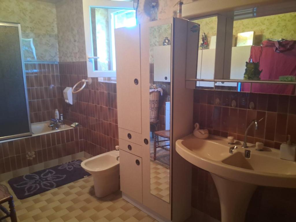 a bathroom with a sink and a toilet at Chez Danielle in Saint-Georges-de-Baroille