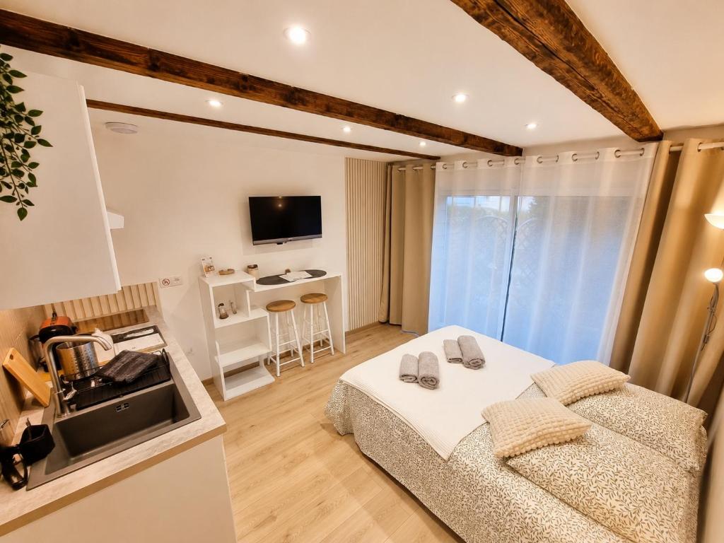 Suite cosy indépendante Evasion env Colmar – photo 7
