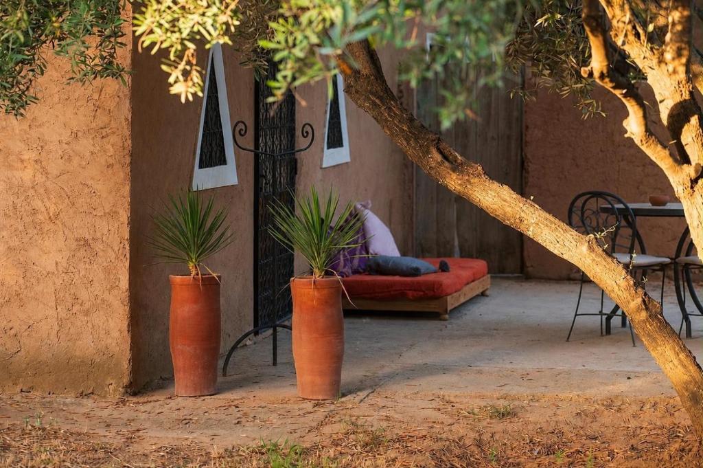 a couch and two potted plants on a patio at EdenAtlas Chambres d'hôtes - Amizmiz in Amizmiz