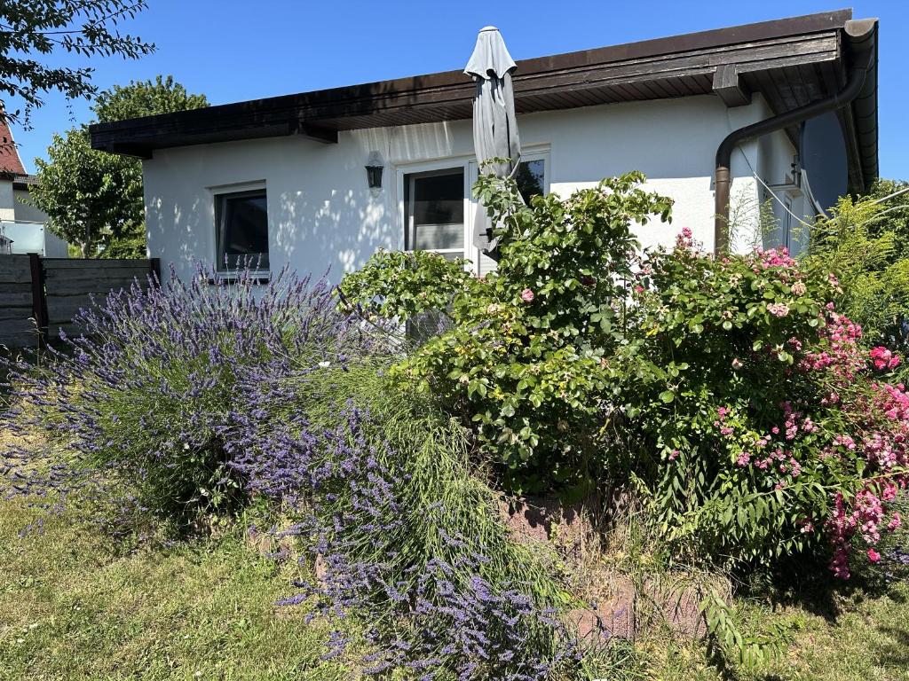 a house with a bunch of flowers in front of it at Ferienhaus Katja in Göhren