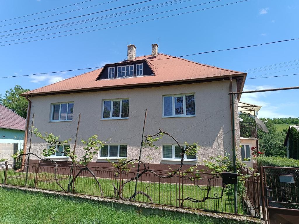 a house with a fence in front of it at Vidiecky dom in Veľký Krtíš