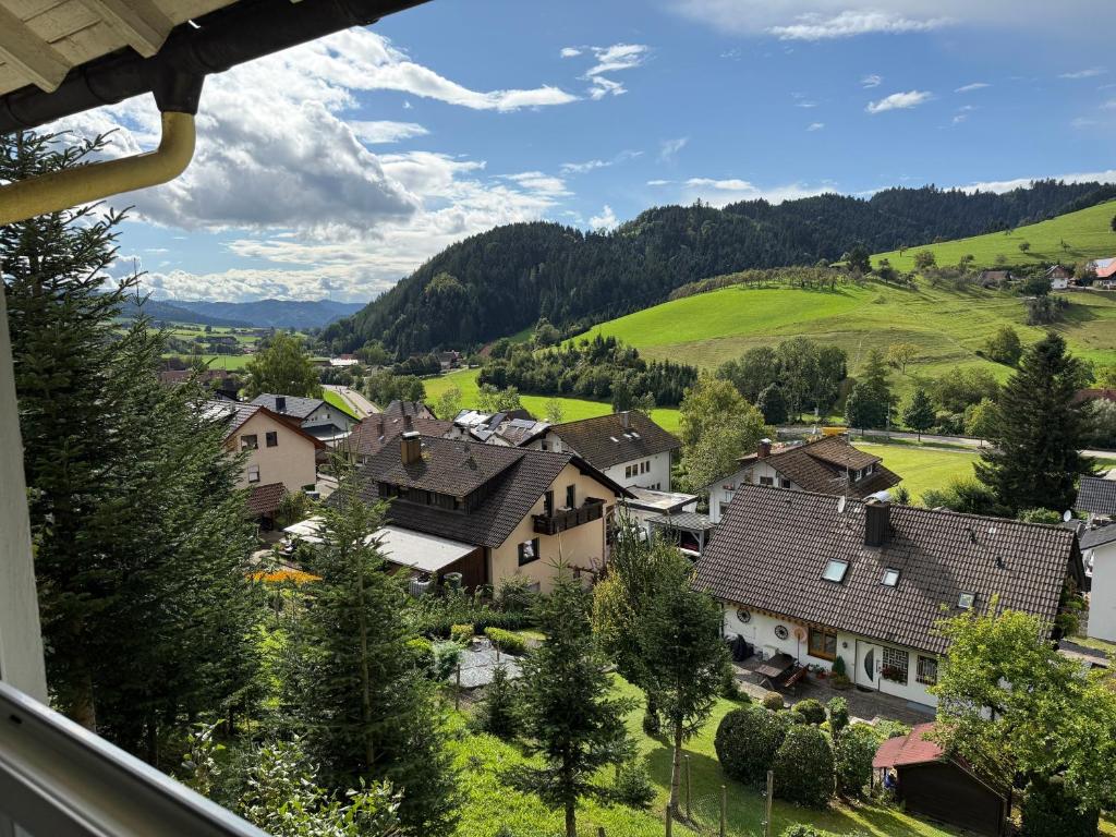 a village in the mountains with houses and trees at Ferienwohnung Waldrose in Oberharmersbach