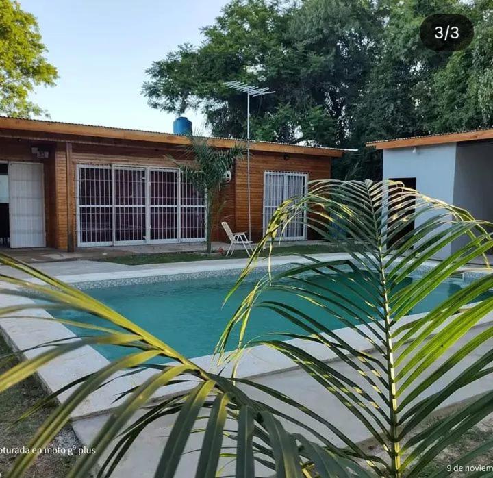 a palm tree in front of a swimming pool at Quinta Bommerl in Paso de la Patria
