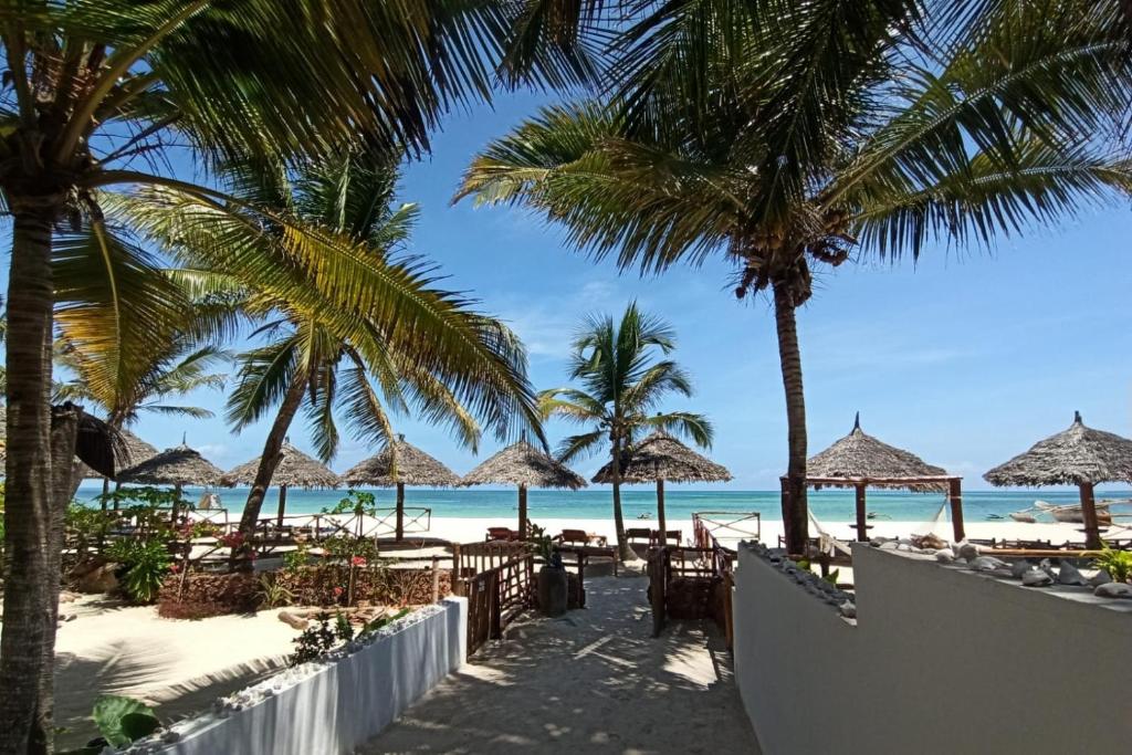 a beach with chairs and umbrellas and the ocean at Thamani Apartment Zanzibar in Pwani Mchangani