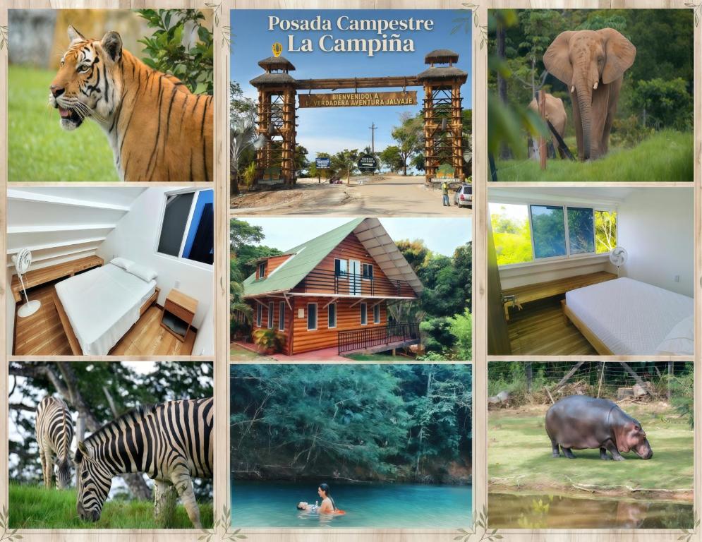 a collage of pictures of animals and a house at Posada Campestre en Doradal in Puerto Triunfo