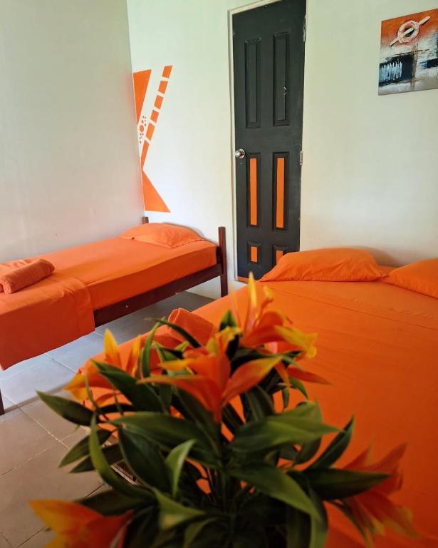 a room with two beds and a plant in front of a door at Acuarela Hostal in Playa Blanca