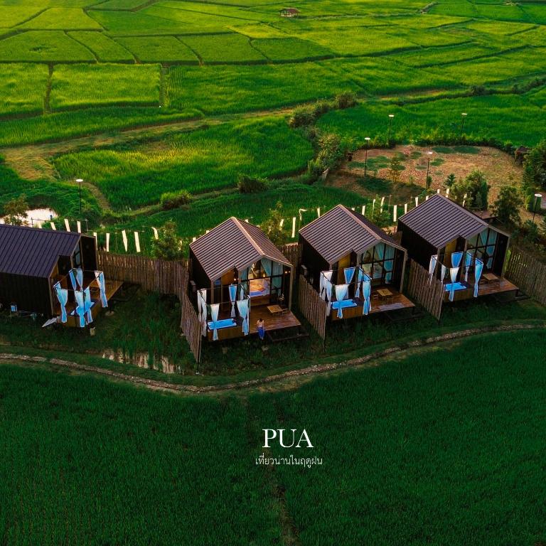 an aerial view of two cottages in a field at The field@pua เดอะฟิลด์แอทปัว in Pua