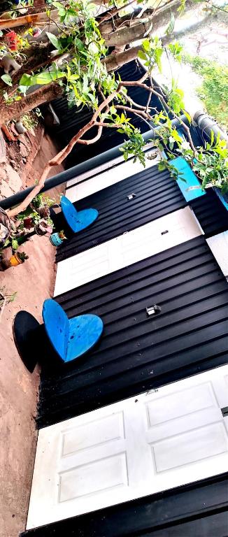 two blue chairs sitting on top of a black table at Posada del viajero in Matagalpa