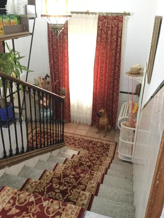Fotografie z fotogalerie ubytování Pension Zurita v destinaci Granada