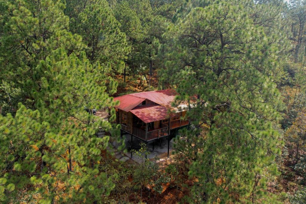 an aerial view of a house in the middle of a forest at Villa Verde in Perquín