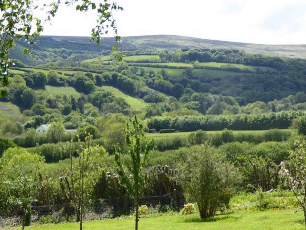 vista su una valle verde con alberi di Walkers Retreat a Holne