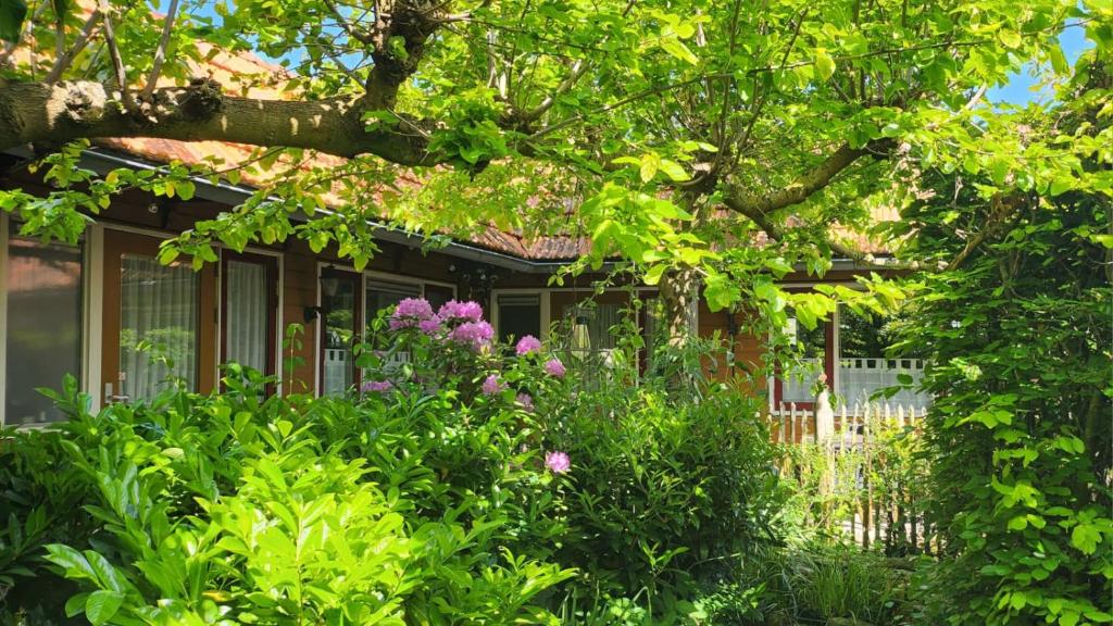 a house with flowers in front of it at 't Zwanennest in Egmond aan den Hoef