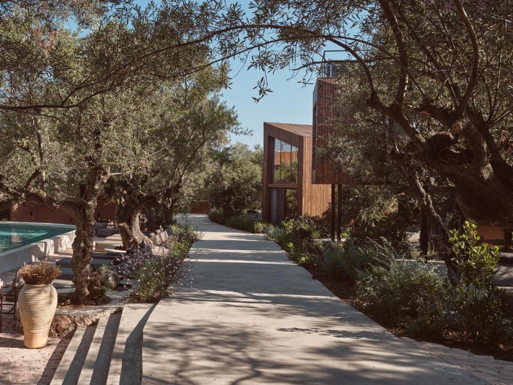 a path in a garden with trees and a building at Prosilio olive tree houses in Tsilivi