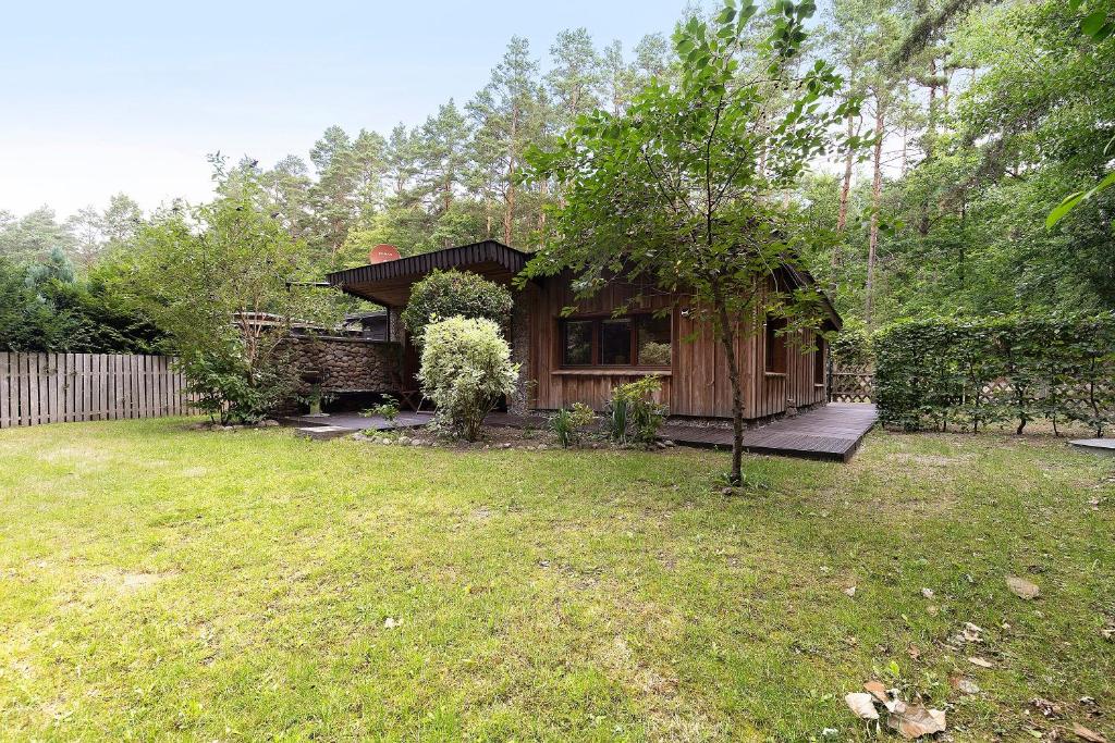 a small house in a yard with a yard at Urlaubsoase am Bruchsee in Templin