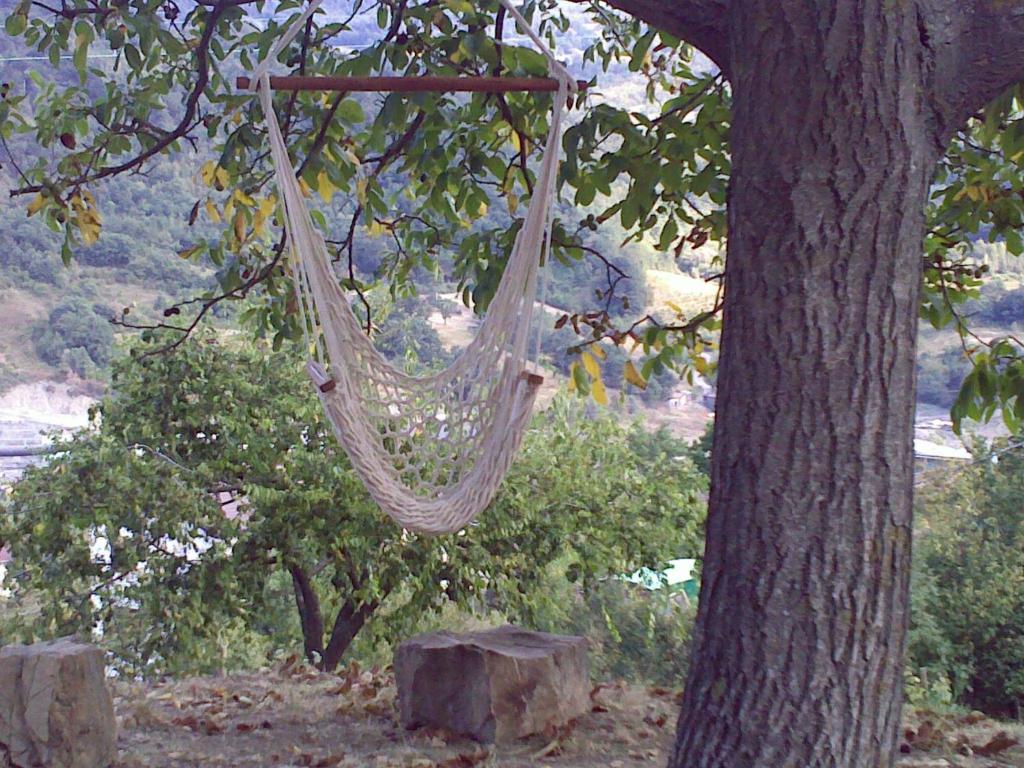 a hammock hanging from a tree in a tree at B&B Bosco Dei Cervi in Grizzana