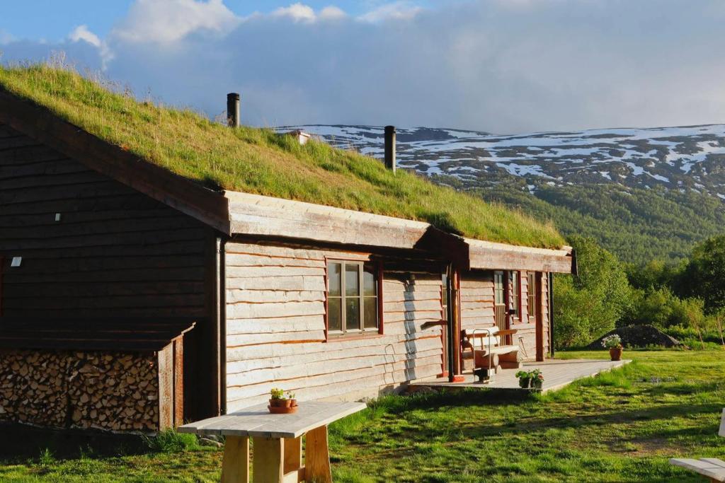 a log cabin with a grass roof on a hill at Cabin Huskyfarm Innset in Innset