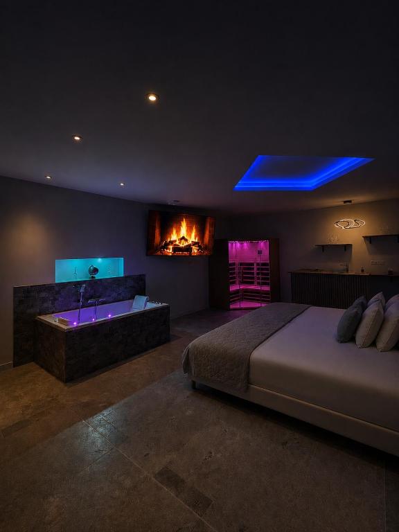 a bedroom with a bed and a bathtub with a fireplace at Coin détente in Vierzon