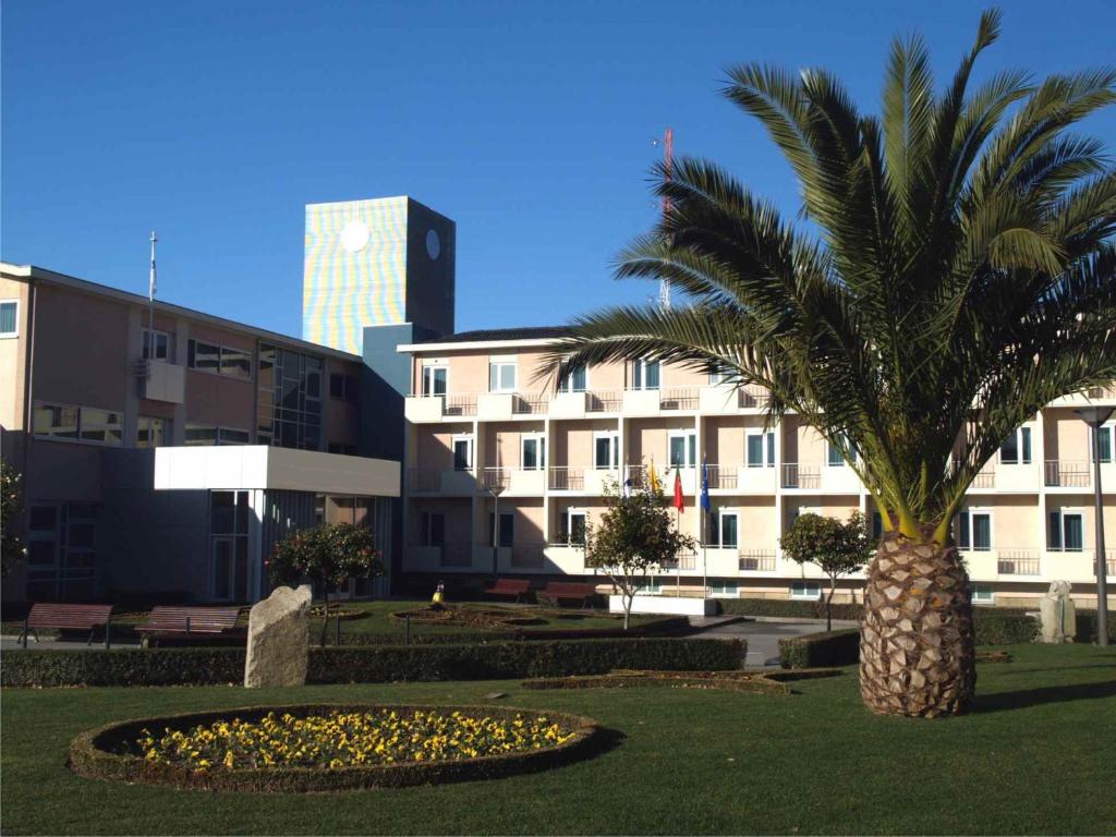 a palm tree in a park in front of a building at Hotel João Paulo II in Braga