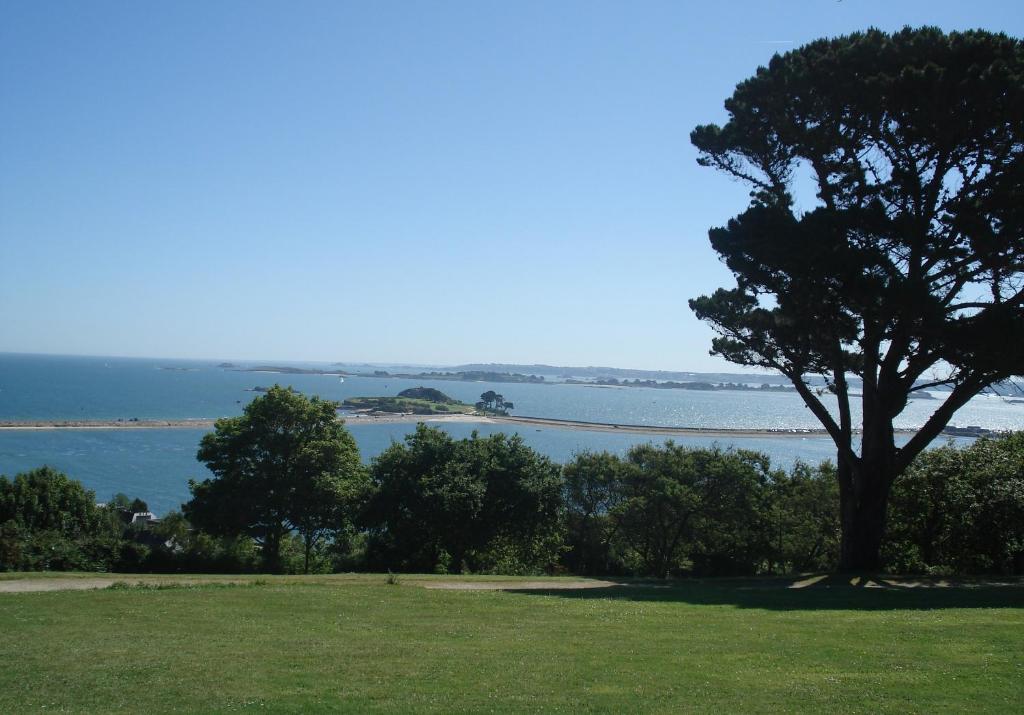 a tree in a field with a view of the water at Meublé centre-ville proche mer in Saint-Pol-de-Léon